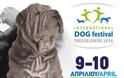 Για τους λάτρεις των σκύλων... Το International Dog Festival στην Θεσσαλονίκη [photos] - Φωτογραφία 4