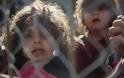 Δραματικές οι καταστάσεις που βιώνουν οι πρόσφυγες - Η συγκινητική περιγραφή του Μητροπολίτη Πατρών για τα παιδιά που... βόσκουν χορτάρια [video]