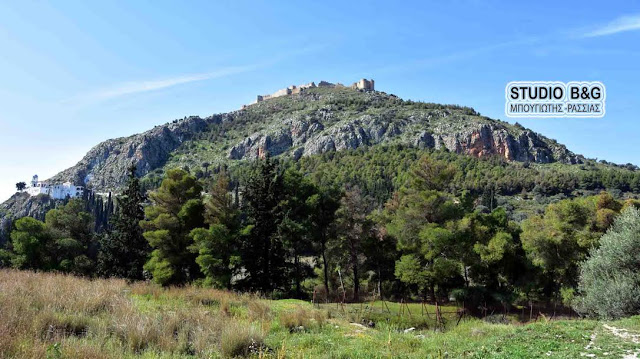 Δενδροφύτευση από μαθητές του δημοτικού σχολείου Άργους στο Λόφο Ασπίδας - Φωτογραφία 2