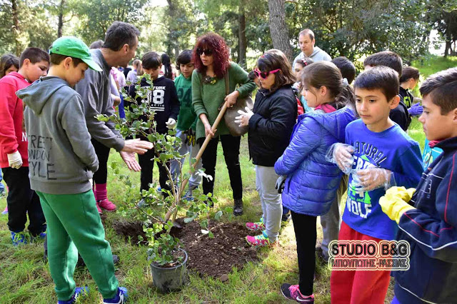 Δενδροφύτευση από μαθητές του δημοτικού σχολείου Άργους στο Λόφο Ασπίδας - Φωτογραφία 5