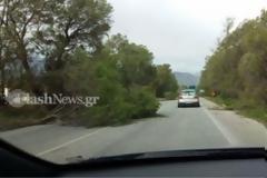Θυελλώδεις άνεμοι στα Χανιά μπλοκάρουν τις μεταφορές