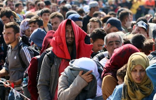 Συνεχίζονται οι επανεισδοχές παράτυπων μεταναστών στην Τουρκία - Φωτογραφία 1