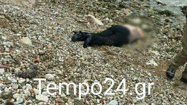 Λύθηκε το μυστήριο με τη γυναίκα που βρέθηκε νεκρή σε παραλία της Πάτρας; - Φωτογραφία 2