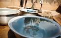 «SOS»: Ένας στους 10 ανθρώπους δεν έχει πρόσβαση σε καθαρό νερό - Φωτογραφία 2