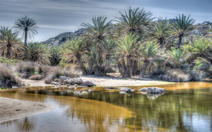 Γνωρίστε το Φοινικόδασος του Βάι - Φωτογραφία 4