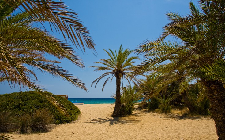 Γνωρίστε το Φοινικόδασος του Βάι - Φωτογραφία 5