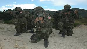 Τούρκοι μισθοφόροι ετοιμάζουν επίθεση στην Κριμαία; - Φωτογραφία 1
