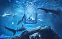 Υποβρύχιο δωμάτιο για διαμονή… δίπλα σε καρχαρίες! - Φωτογραφία 1