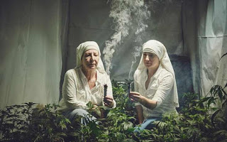 Οι «καλόγριες» της μαριχουάνας που την καλλιεργούν για φαρμακευτικούς σκοπούς - Φωτογραφία 1