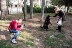 Ταινία μικρού μήκους για τα αδέσποτα με συμμετοχη γνωστών ηθοποιών [video]