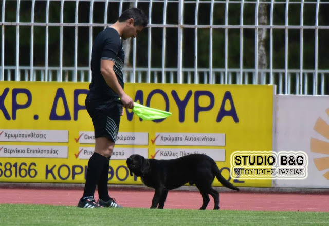 Ένας αδέσποτος σκύλος στο παιχνίδι μεταξύ Παναργειακού- Κανάρη Χίου για την Γ ‘ Εθνική... [photos] - Φωτογραφία 3