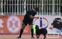 Ένας αδέσποτος σκύλος στο παιχνίδι μεταξύ Παναργειακού- Κανάρη Χίου για την Γ ‘ Εθνική... [photos] - Φωτογραφία 2