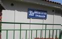 Τραγικές εικόνες στο 31ο νηπιαγωγείο Τρικάλων - Τα χορτάρια σκέπασαν τα παγκάκια - Φωτογραφία 5