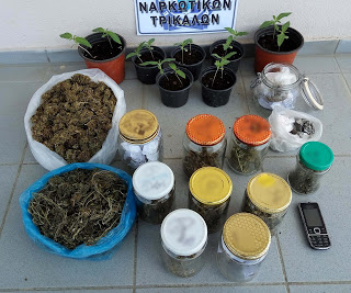 Μάστιγα τα ναρκωτικά στα Τρίκαλα. Συνελήφθησαν με δενδρύλια κάνναβις... - Φωτογραφία 1