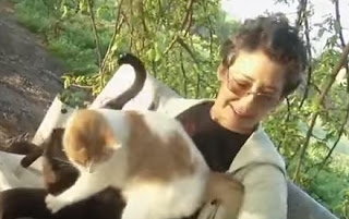 ΗΠΑ: Γυναίκα χαρίζει το σπίτι της στις... 1.000 γάτες της! - Φωτογραφία 1