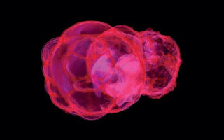 Οι εκρήξεις σούπερ-νόβα που «ράντισαν» τη Γη με κοσμική ακτινοβολία - Φωτογραφία 1
