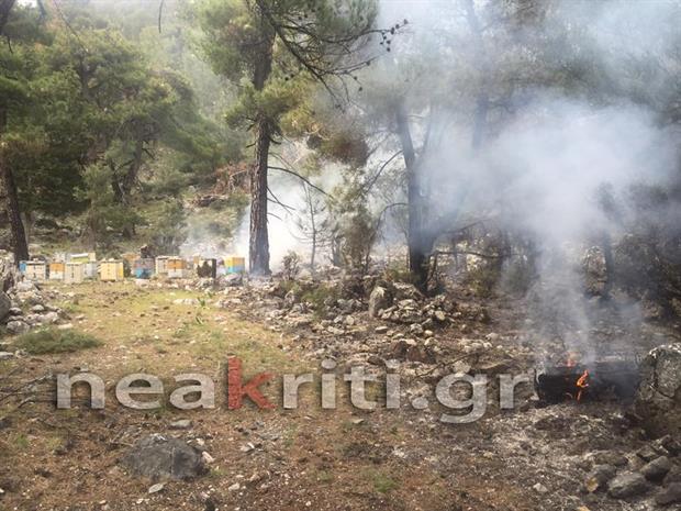 Μεγάλη φωτιά στην Ιεράπετρα απειλεί το δάσος - Αρνήθηκαν την συνδρομή ελικοπτέρου [phptos] - Φωτογραφία 4