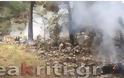 Μεγάλη φωτιά στην Ιεράπετρα απειλεί το δάσος - Αρνήθηκαν την συνδρομή ελικοπτέρου [phptos] - Φωτογραφία 1