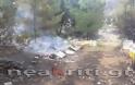 Μεγάλη φωτιά στην Ιεράπετρα απειλεί το δάσος - Αρνήθηκαν την συνδρομή ελικοπτέρου [phptos] - Φωτογραφία 3