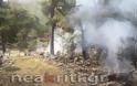 Μεγάλη φωτιά στην Ιεράπετρα απειλεί το δάσος - Αρνήθηκαν την συνδρομή ελικοπτέρου [phptos] - Φωτογραφία 4