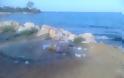 Αναγνώστης καταγγέλλει και φωτογραφίζει την παραμελημένη παραλία του Αγίου Κοσμά [photos] - Φωτογραφία 7