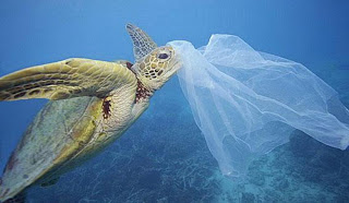 1ο Φόρουμ Διαβούλευσης για την μείωση της χρήσης πλαστικής σακούλας - Φωτογραφία 1