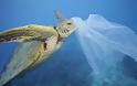 1ο Φόρουμ Διαβούλευσης για την μείωση της χρήσης πλαστικής σακούλας
