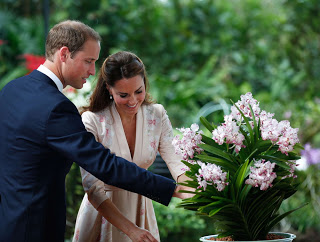 Πόσο θα κοστίσει το ξενοδοχείο που θα μείνουν οι Kate Middleton και Πρίγκιπας William στην Ινδία; [photos] - Φωτογραφία 1