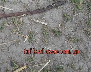 Λες και βγήκε απο το Τσερνομπίλ το σκουλήκι γίγας στα Τρίκαλα [photos] - Φωτογραφία 1
