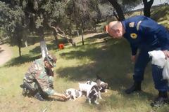 Φροντίδα αδέσποτων ζώων από το Πολεμικό Ναυτικό!
