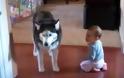 Γέλιο μέχρι δακρύων με το διάλογο ενός μωρού με τον σκύλο του... [video]