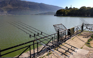 Σύσκεψη με αφορμή την έναρξη απαγόρευσης της αλιείας στη λίμνη Παμβώτιδα - Φωτογραφία 1