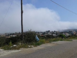 Εντυπωσιακό φαινόμενο - Ομίχλη και σκόνη έκρυψαν τα Χανιά - Φωτογραφία 1