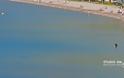 Ναύπλιο: Δείτε τι εμφανίστηκε στην παραλία της Καραθώνας [photo]