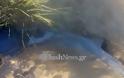 Kρήτη: Με κρυφό σωλήνα διώχνουν τα λύματα σε παραλία