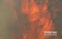 Μεγάλη φωτιά στα σύνορα Αργολίδος Κορινθίας [photos]