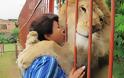 Απίστευτο βίντεο: Δείτε τι έκανε αυτό το λιοντάρι όταν είδε... τη γυναίκα που το έσωσε [video]