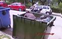 Σκληρές εικόνες στα Τρίκαλα: Γυναίκα μέσα στο κάδο σκουπιδιών να βρει τρόφιμα - Φωτογραφία 5