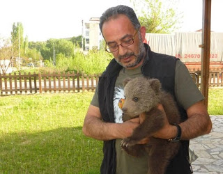 Βρέθηκε ένα πανέμορφο αρκουδάκι στην Καστοριά - Φωτογραφία 1