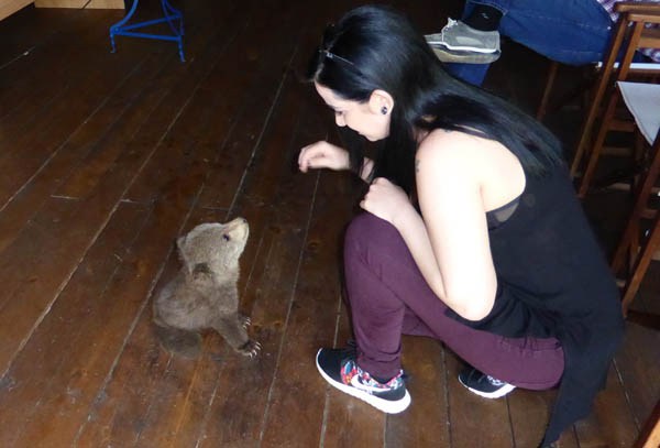Βρέθηκε ένα πανέμορφο αρκουδάκι στην Καστοριά - Φωτογραφία 5