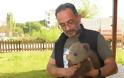 Βρέθηκε ένα πανέμορφο αρκουδάκι στην Καστοριά