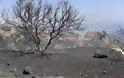 Κρήτη: Κρανίου τόπος η Ανατολή Ιεράπετρας - Ανυπολόγιστες οι ζημιές [photos] - Φωτογραφία 1