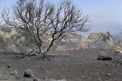 Κρήτη: Κρανίου τόπος η Ανατολή Ιεράπετρας - Ανυπολόγιστες οι ζημιές [photos]