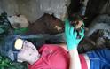 Καρδίτσα: Έσωσαν το γατάκι που είχε παγιδευτεί σε σωλήνα και κινδύνευε να πνιγεί - Φωτογραφία 1