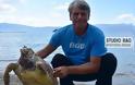 Χελώνα Καρέτα - Καρέτα βρέθηκε χτυπημένη στο Ναύπλιο