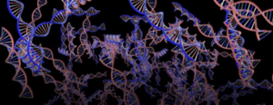 Αγορά συνθετικού DNA για αποθήκευση δεδομένων - Φωτογραφία 1