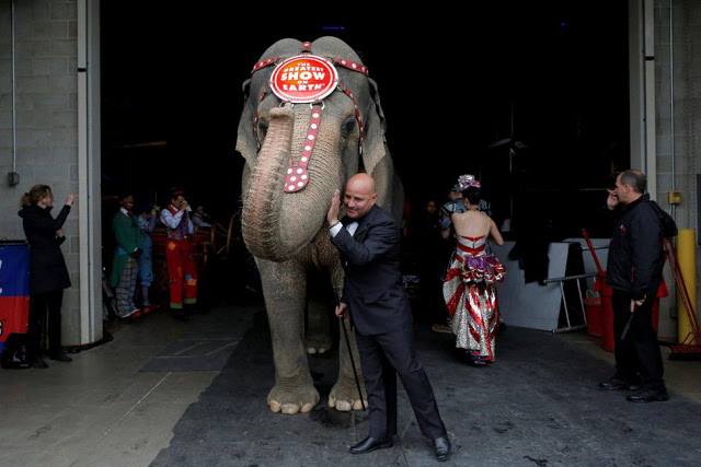 Τέλος οι ελέφαντες σε ένα από τα μεγαλύτερα τσίρκο των ΗΠΑ - Φωτογραφία 2