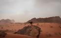 «Theeb: Ο Λύκος της Ερήμου»: Η απάντηση της Ιορδανίας στον «Λόρενς της Αραβίας» - Φωτογραφία 8