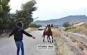 Παραλίγο ατύχημα με άλογα κατά την Λιτανεία της εικόνας του Αγίου Ιωάννη του θεολόγου στο Ναύπλιο [photo+video] - Φωτογραφία 8