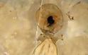 Ζωγραφισμένο χταπόδι με το 95 εκ. ετών μελάνι του! [photos] - Φωτογραφία 4